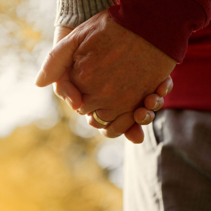 Close up of two hands entwined with gold wedding bands on.